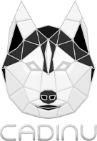 Collaborator 2